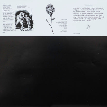 Bonnie 'Prince' Billy* : I See A Darkness (LP, Album)