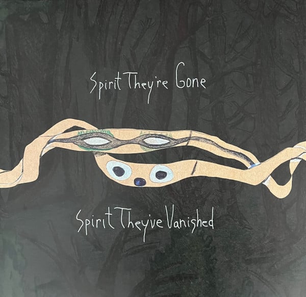 Animal Collective : Spirit They're Gone Spirit They've Vanished (2xLP, Album, RE, RM)