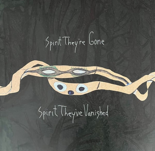 Animal Collective : Spirit They're Gone Spirit They've Vanished (2xLP, Album, RE, RM)