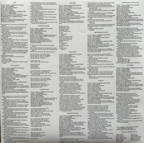 Geese (11) : 3D Country (LP, Album, Ltd, Cle)