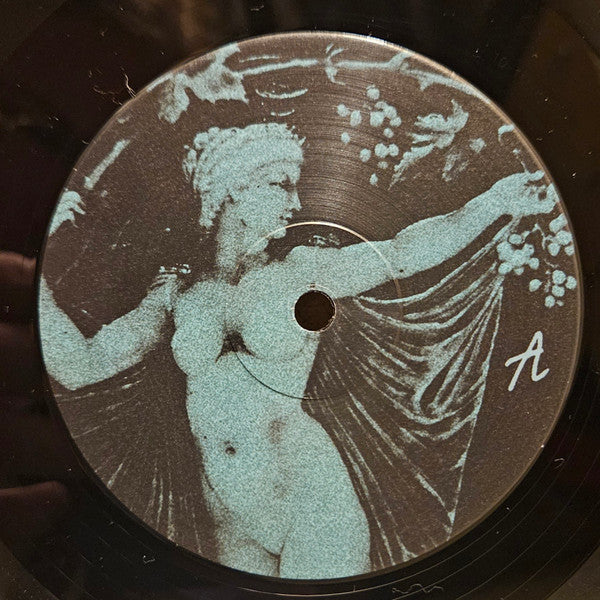 TV Girl : Grapes Upon The Vine (LP, Album)