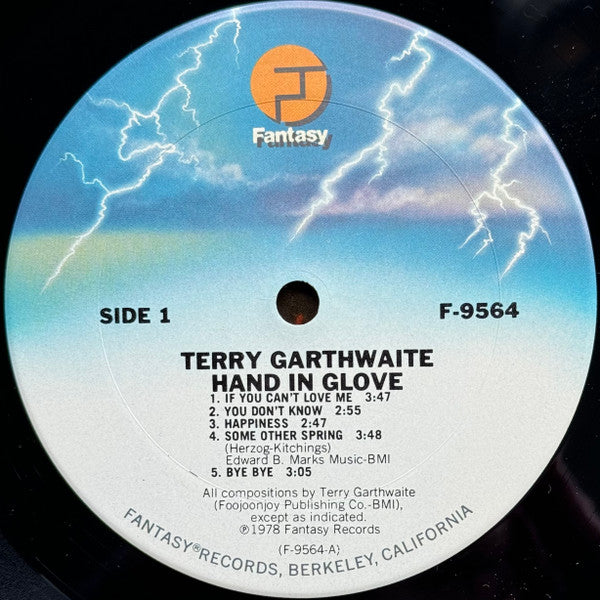 Terry Garthwaite : Hand In Glove (LP, Album, San)