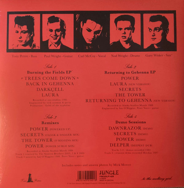 Fields Of The Nephilim : Burning The Fields (12", RSD)
