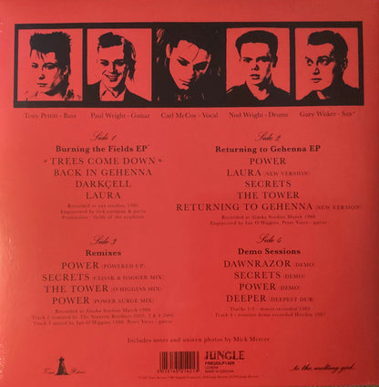 Fields Of The Nephilim : Burning The Fields (12", RSD)