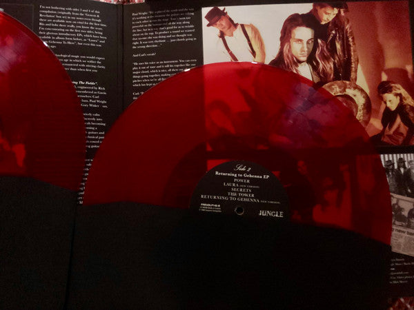 Fields Of The Nephilim : Burning The Fields (12", RSD)