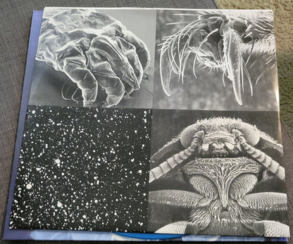 Tad : Infrared Riding Hood (LP, RSD, Ltd, RE, Aqu)