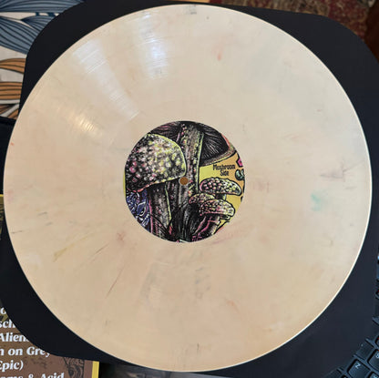 Kool Keith, MC Homeless : Mushrooms And Acid (12", RSD)