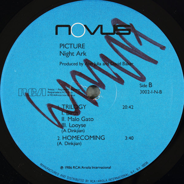 Night Ark : Picture (LP, Album)
