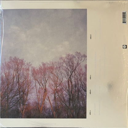 American Football : American Football (2xLP, Album, Dlx, Ltd, RE, RM, Sil)