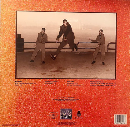 Detroit Boxx & Step 2 : Wisdom, Faith & Knowledge (LP, Album)