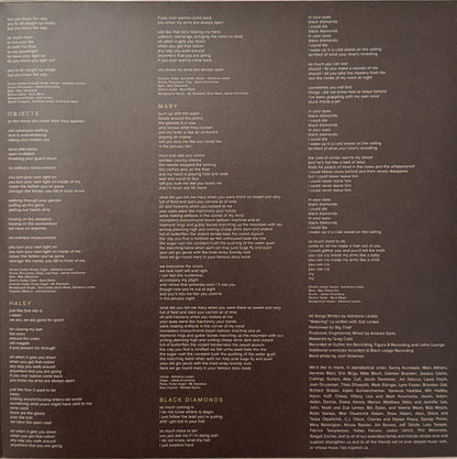 Big Thief : Capacity (LP, Album, RE, Eco)