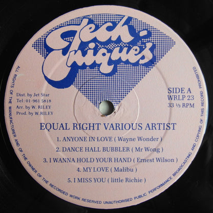Various : Equal Rights (LP, Comp)