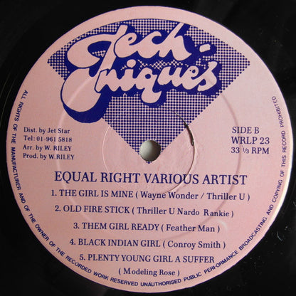 Various : Equal Rights (LP, Comp)