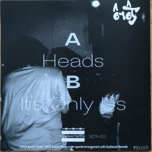 Toro (45) : Heads B/W It's Only Us (7", Single)