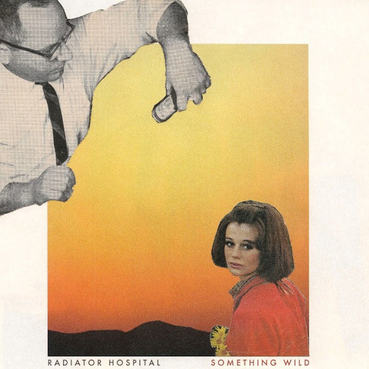 Radiator Hospital : Something Wild (LP, Album)