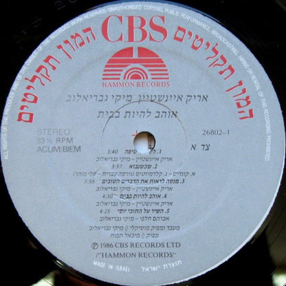 אריק איינשטיין*, מיקי גבריאלוב* : אוהב להיות בבית = A Home Loving Man (LP, Album)