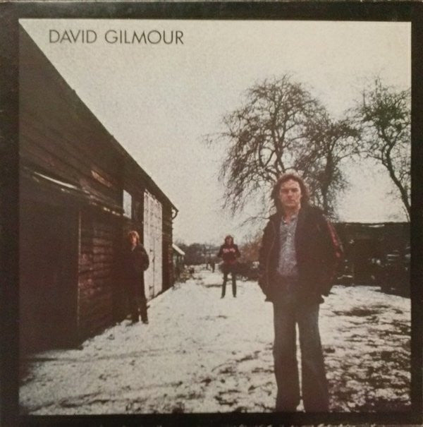 David Gilmour : David Gilmour (LP, Album, Ter)