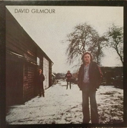 David Gilmour : David Gilmour (LP, Album, Ter)