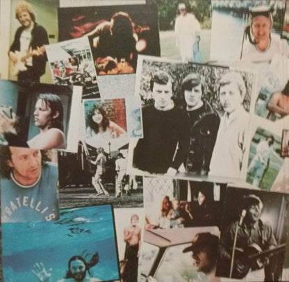 David Gilmour : David Gilmour (LP, Album, Ter)