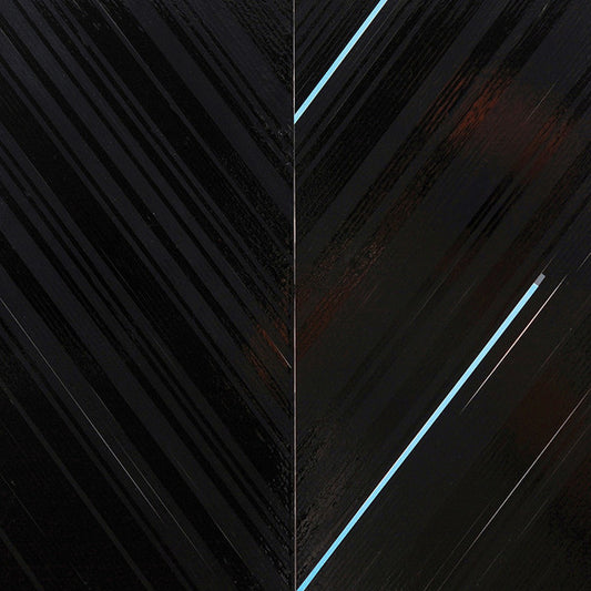 Terence Hannum : Via Negativa (LP, Pow)