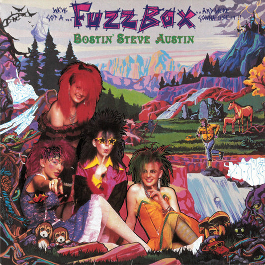 We've Got A Fuzzbox And We're Gonna Use It : Bostin' Steve Austin (LP, Album)
