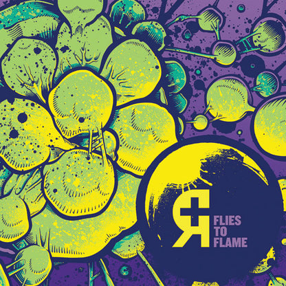 Rosetta (2) : Flies To Flame (12", EP, Yel)