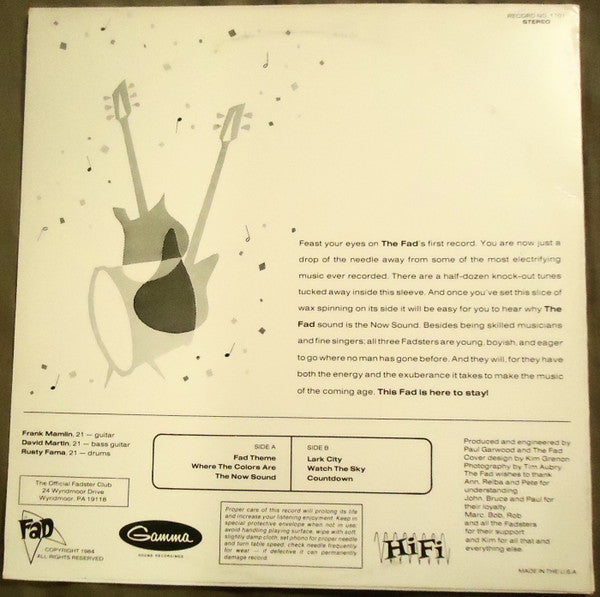 The Fad (3) : The Fad (12", EP)