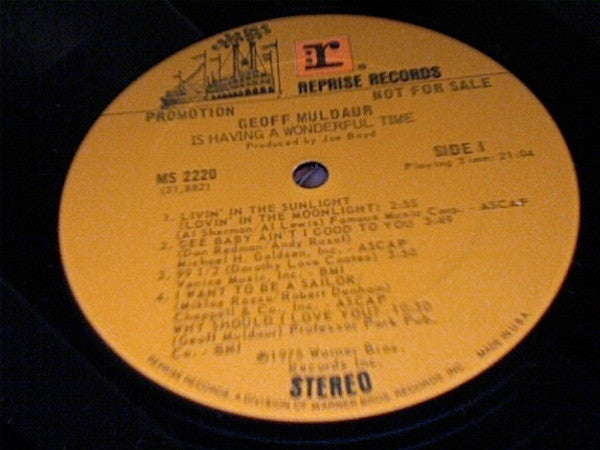 Geoff Muldaur : Is Having A Wonderful Time (LP, Album, Promo, San)