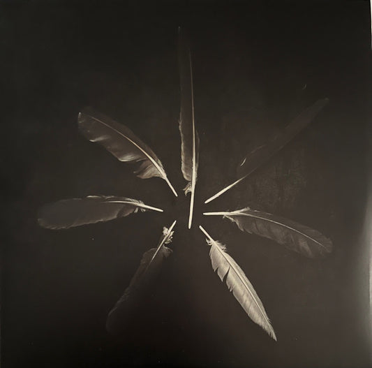 Caspian (3) : Dust And Disquiet (LP + LP, S/Sided + Album, Ltd, Whi)
