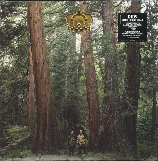 DJDS* : Stand Up And Speak (LP, Album)