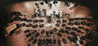 Mad Season, Seattle Symphony* : Sonic Evolution (2xLP, Album, Ltd, RP, Pur)