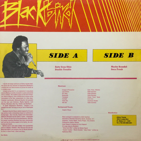 Blackbird* : Double Trouble (12")