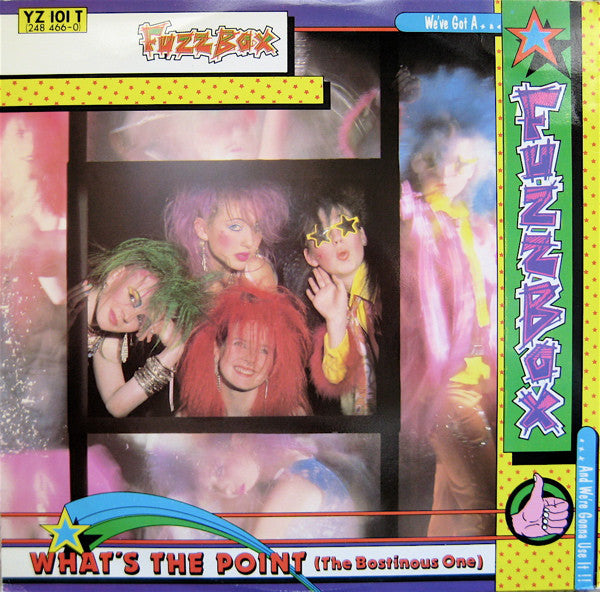 We've Got A Fuzzbox And We're Gonna Use It !!* : What's The Point (The Bostinous One) (12", Single)