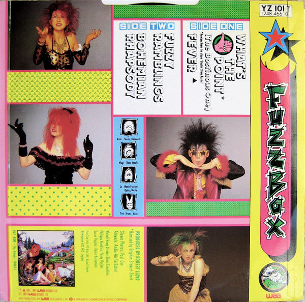 We've Got A Fuzzbox And We're Gonna Use It !!* : What's The Point (The Bostinous One) (12", Single)