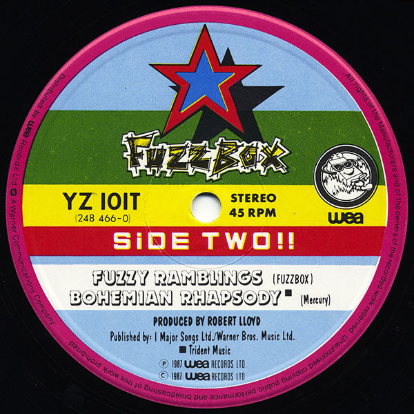 We've Got A Fuzzbox And We're Gonna Use It !!* : What's The Point (The Bostinous One) (12", Single)