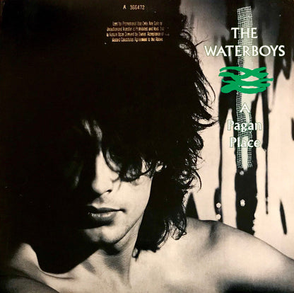 The Waterboys : A Pagan Place (LP, Album, All)