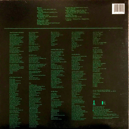 The Waterboys : A Pagan Place (LP, Album, All)