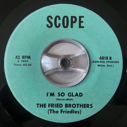 The Fried Brothers, The Friedles : I Lost Her (7", Single)