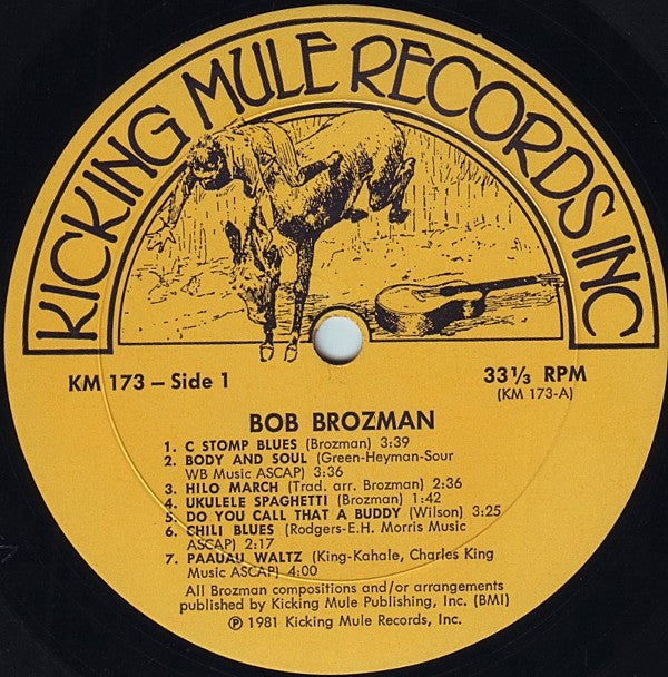 Bob Brozman : Blue Hula Stomp (LP, Album)