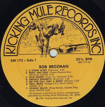 Bob Brozman : Blue Hula Stomp (LP, Album)