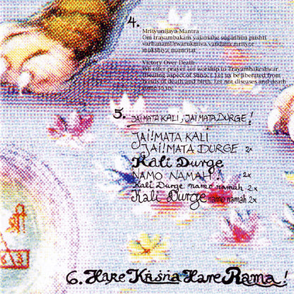 Nina Hagen : Om Namah Shivay! (CD, Album + CD, Enh)