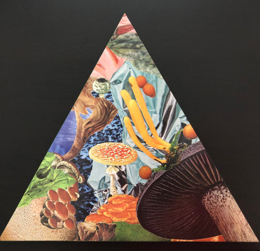 Modest Mouse : Poison The Well b/w I'm Still Here (7", Shape, RSD, Ltd, Gre)