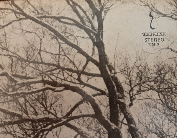 Bruce Cockburn : High Winds White Sky (LP, Album, RE, Gat)