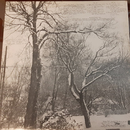 Bruce Cockburn : High Winds White Sky (LP, Album, RE, Gat)
