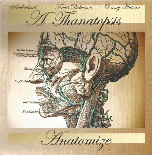 Thanatopsis : Anatomize (CD, Album)