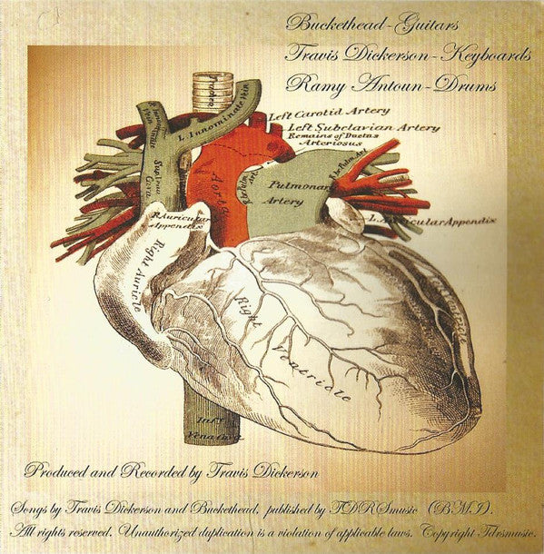 Thanatopsis : Anatomize (CD, Album)
