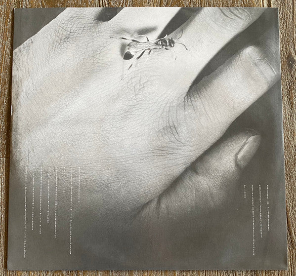 Shaun Cassidy : Wasp (LP, Album, Ltd, Opa)