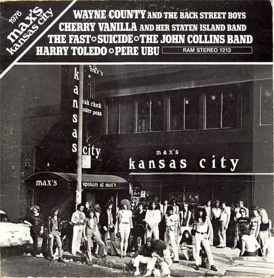 Various : 1976 Max's Kansas City (LP, Comp)