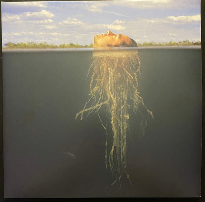 The Mars Volta : De-Loused In The Comatorium (2xLP, Album, Ltd, RE, RM, Gol)