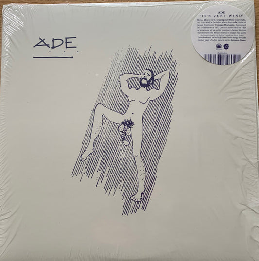 Ade Mockasin & Connan Mockasin : It's Just Wind (LP, RSD, Ltd)